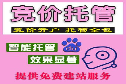 百度竞价推广托管：成功案例背后的故事